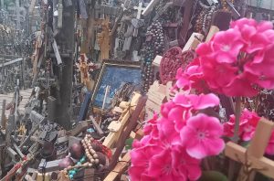 Flowers on a Hill of crosses