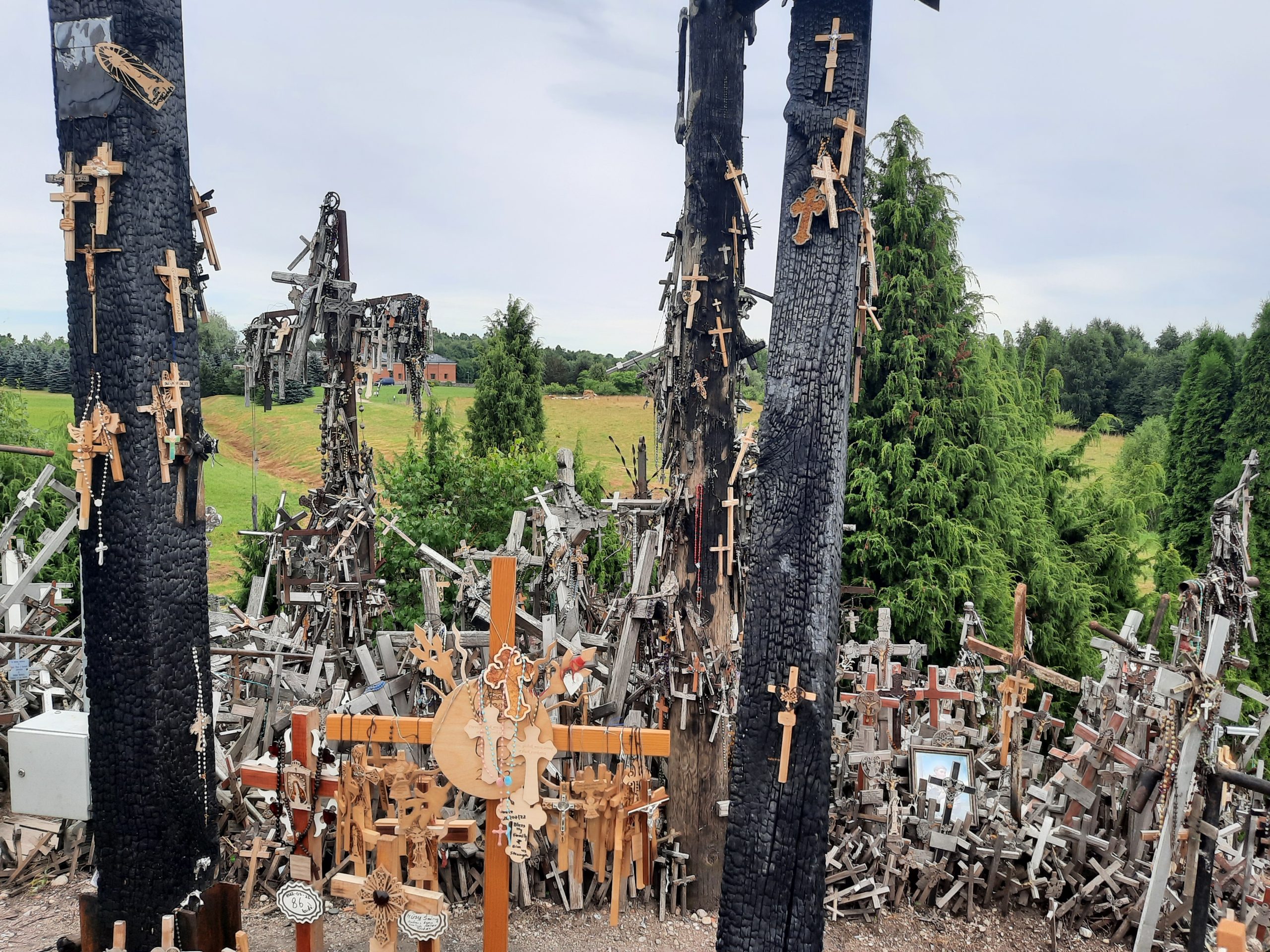 Crosses on the hill of crosses after the fire.